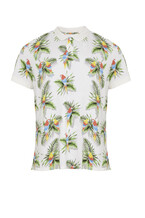 Summer Shirt
