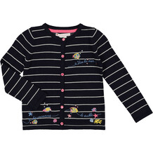 Navy Stripe Embroidered Jumper