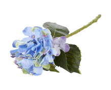 Faux Flowers