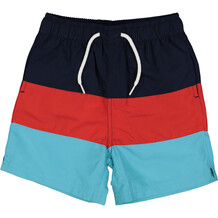 Blue Striped Swim Shorts