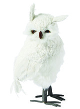 White Owl