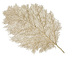 Gold Leaf Table Mat