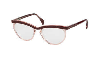 Burgundy Frame Glasses €24.00