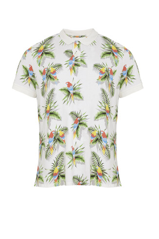 Summer Shirt