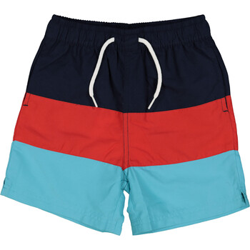 Blue Striped Swim Shorts
