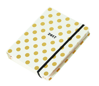 Gold Dot Diary