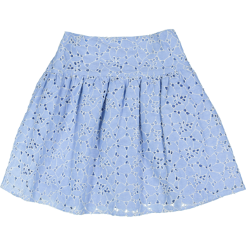 Blue Embroidered Skirt