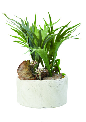 Plastic Plants with Concrete Base